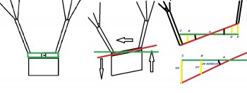 Göğüs kolonu uzunluğu